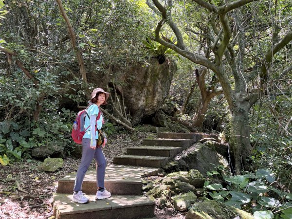 龜山島-環島+登島+401高地3079313