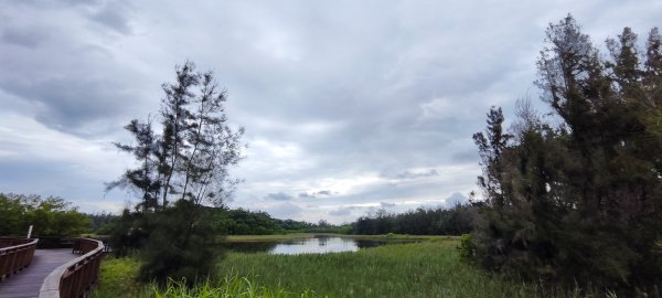 嘉義東石．鰲鼓溼地步道202406093137107