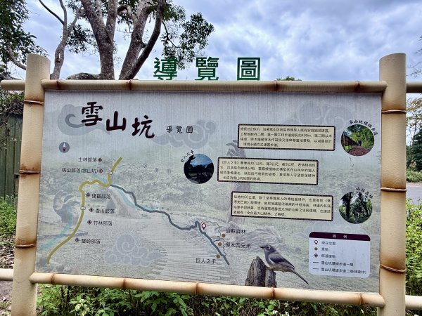 雪山坑步道悠遊順訪雪山坑山(再訪)  2025.12.32953725