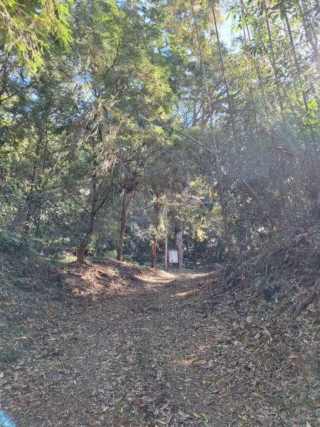 泰安麻必浩林道南坑山O型202502282724659