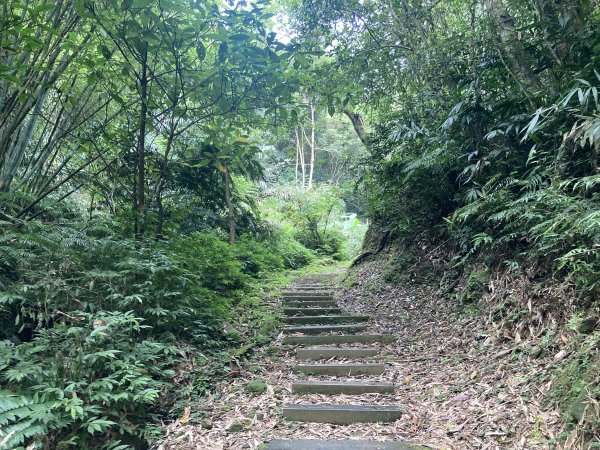 土庫岳2527746