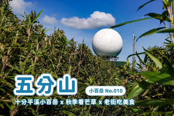 【五分山】十分平溪親民小百岳 x 秋季看芒草 x 老街吃美食