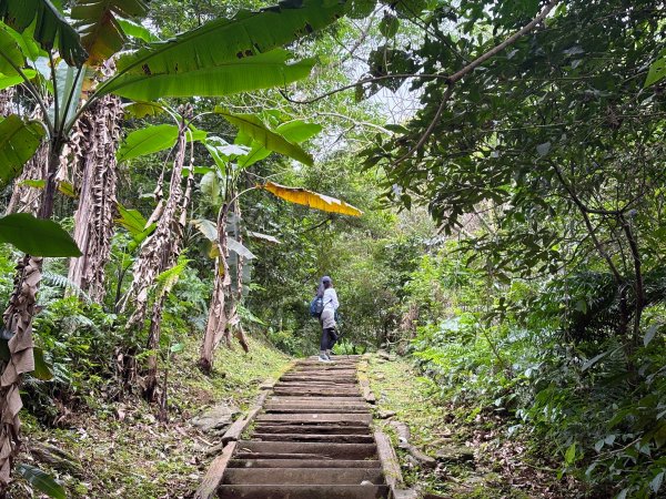 鯉魚山步道群2728317