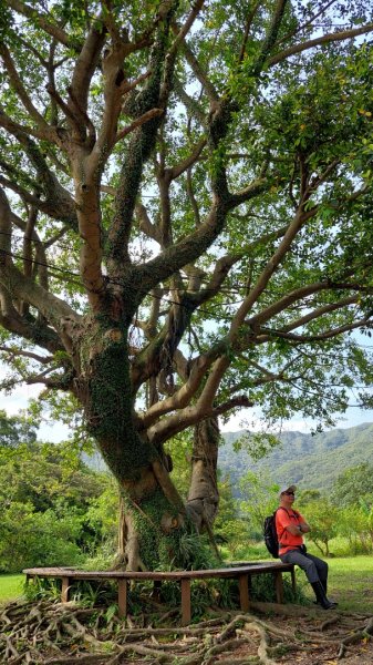 新北萬里丁火朽山、八斗山連走2768662