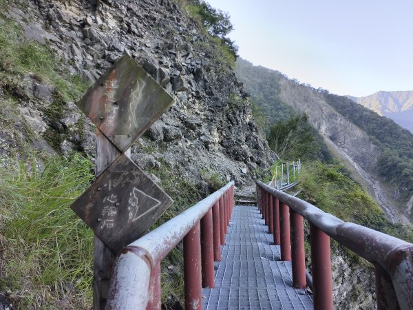 [玉山尋寶任務-07/12] 2025_0824 八通關雲龍瀑布步道2870481