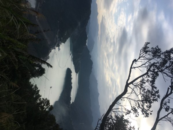 梅花撲鼻香2686617