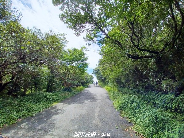 【台北北投】搭捷運公車爬山趣。 小百岳集起來。編號1小百岳~大屯山主峰步道1762759