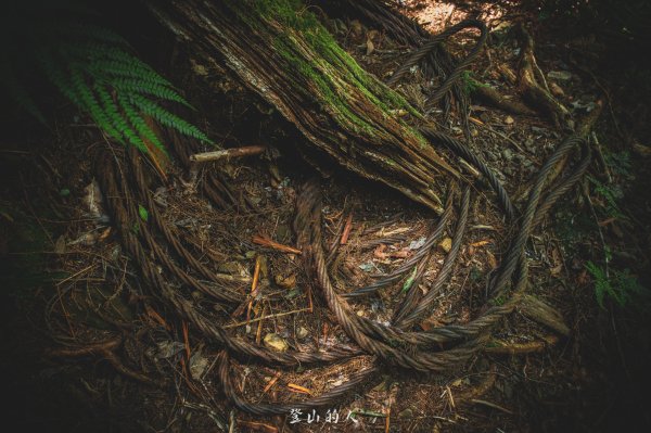 霞山鐵道野營2843127