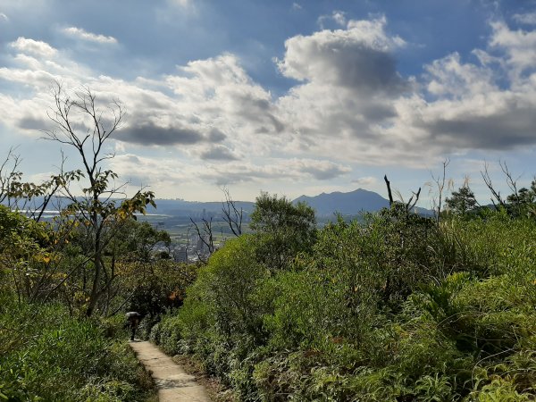 尋找山中鐵達尼、山形猶如鳳之丹鳯山753239