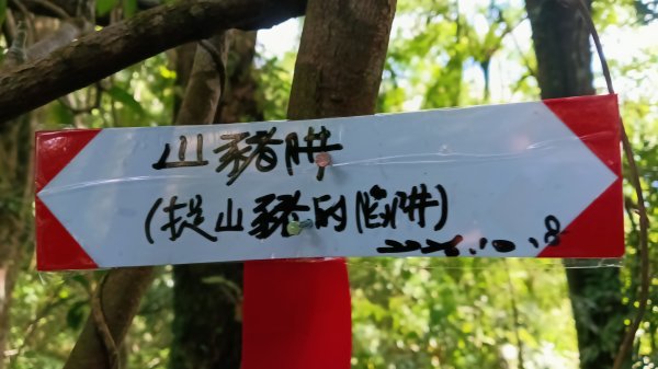 坪林區金瓜寮土地公-火炎山東峰-火炎山-火炎山南峰-金瓜寮土地公O型3138296