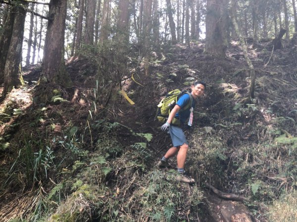 鹿屈山.水漾森林1405037