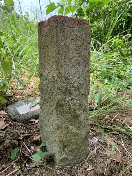 20250906台南口埤山(口碑山)2881397