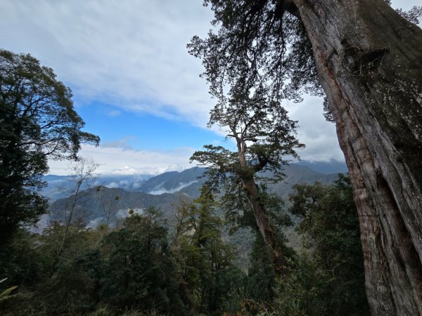 鳶嘴山+稍來神木2709903
