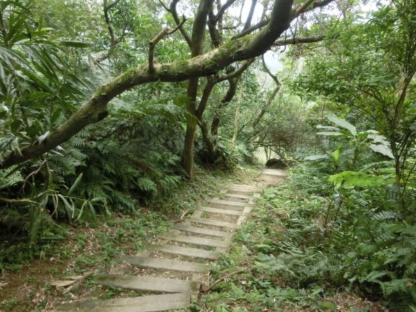 炮子崙越嶺步道．深坑老街封面