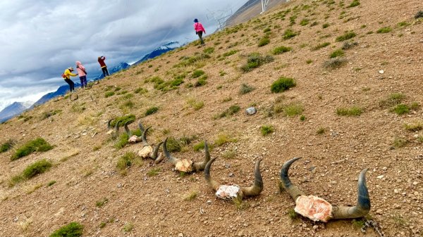 西藏的高山聖湖💙一措再措2907336