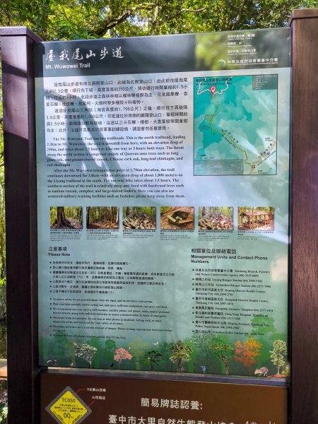 2026-06-20 屋我尾山+屋我尾林道3086830