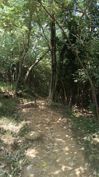 20251018 三義火炎山 南鞍古道 O型2920416