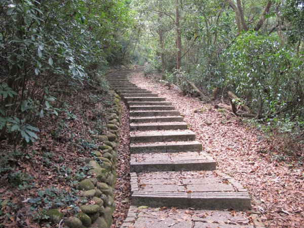 毘盧禪寺步道942234