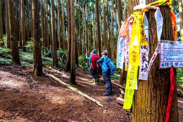 新竹五峰民都有山53554