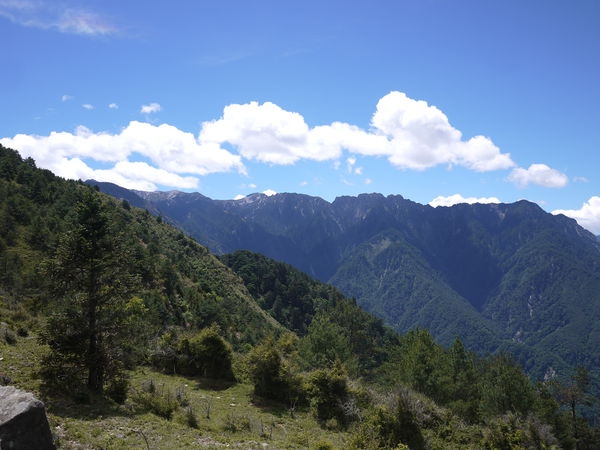 南投縣信義鄉X鹿林山攻頂X麟趾山攻頂X眺望美麗壯觀的玉山