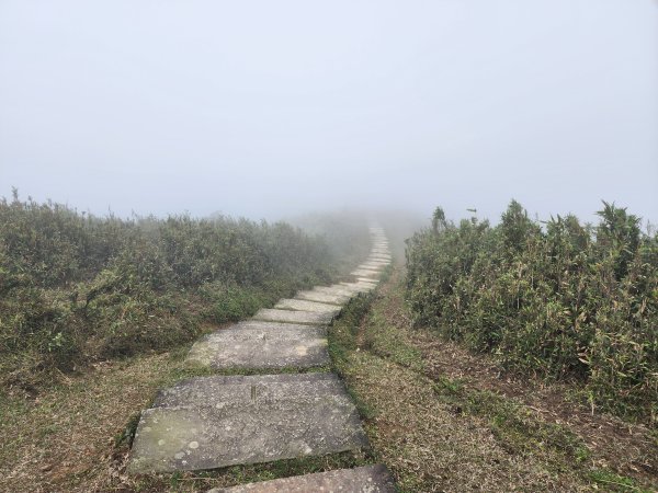 小百岳No.82⛰灣坑頭山3003081