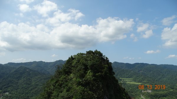 台灣原生種  - 艷紅鹿子百合650342