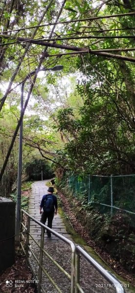 天上山（小百岳集起來）- 前半段路徑和靄可親、後半段面目猙獰1379325