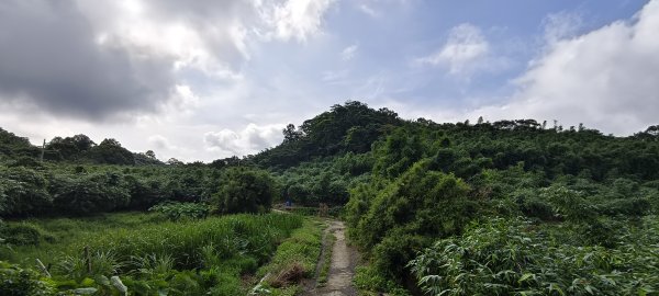 2025/07/13_二層坪古道O型未完成2835754