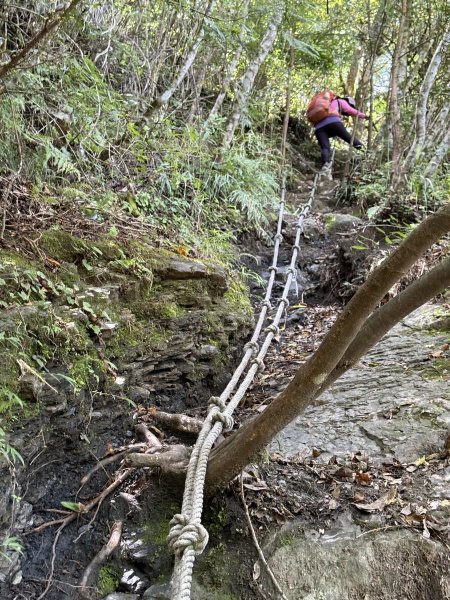 鳶嘴山+稍來神木 202508302873899