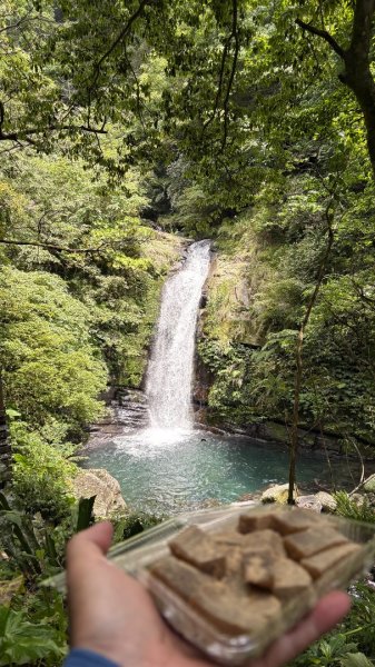 戲水（鴛鴦2786745