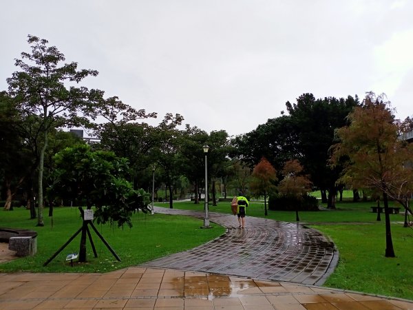 內湖大港墘公園、大湖公園 (防災公園) 【走路趣尋寶】1896656