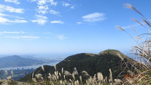 秋高氣爽芒花季再度陽明山天際線-七星山主東峰+大屯山主南西峰向天面天山O型+小觀音山主西南峰共10峰1511171