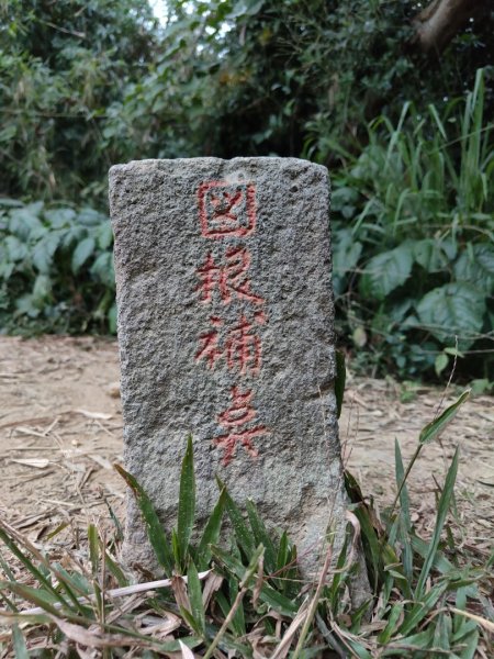 2023.12.23 高雄大崗山2834936