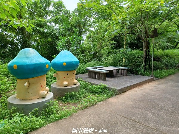 【台中外埔】沿著水圳散散步。 外埔水流東桐花步道1731440
