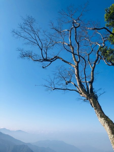 2019/03/02 北大武541993