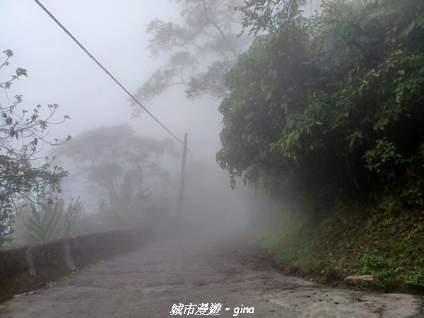 【台南。 南化】迷霧山徑。 小百岳集起來。 編號70小百岳~刣牛湖山登山步道1610467