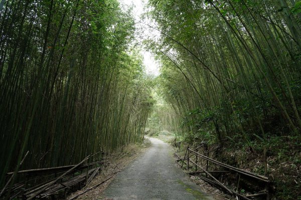 新竹 五峰 鬼澤山2634006