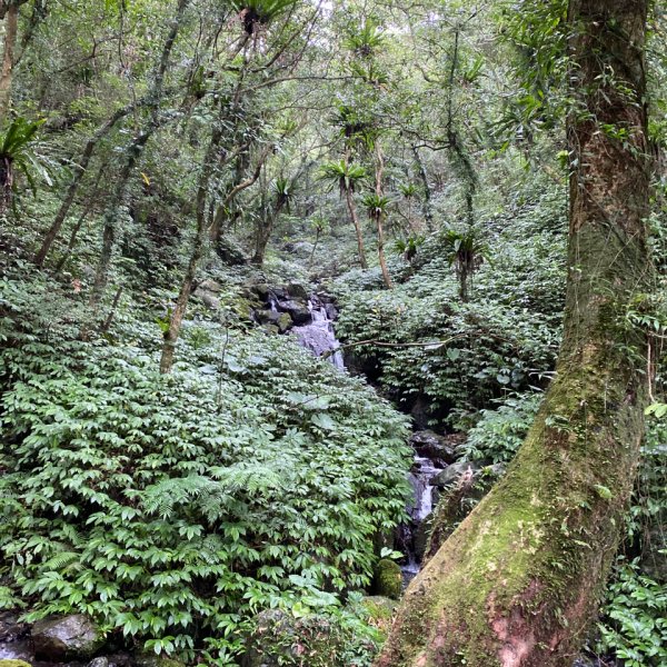 步道巡訪員 l 聖母登山步道109八月份巡訪1085492