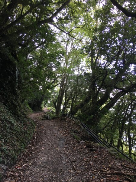 20161109-10_奇萊南華873688