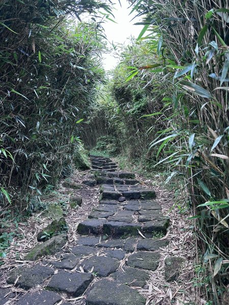 台北大縱走第三段2786894