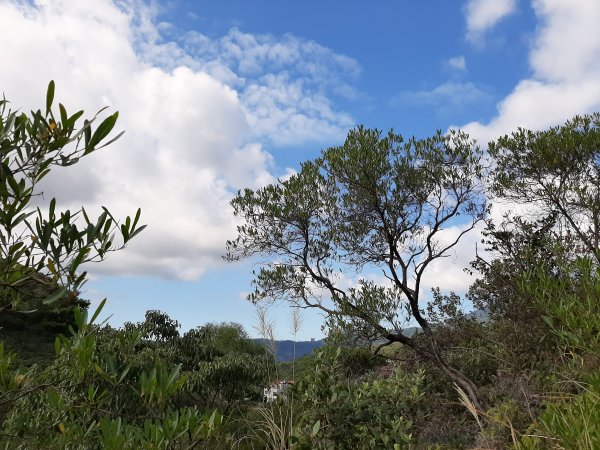 尋找山中鐵達尼、山形猶如鳳之丹鳯山753181