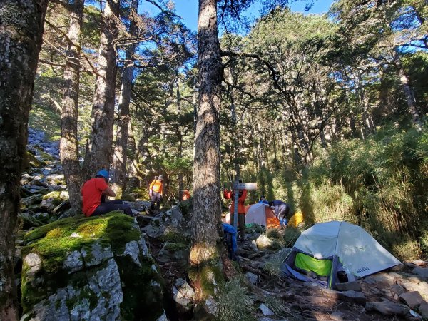 硬邦邦四天「雪山西稜」全記錄！大雪山黃金稜線必訪1451372