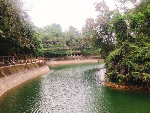 頭社水庫生態步道317053