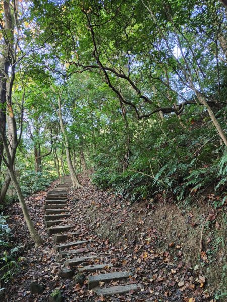 2023.12.14 土城天上山2827279