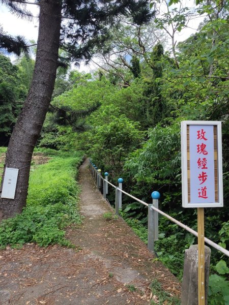 石光古道2848869