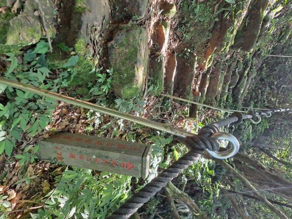 20230911淡蘭古道中段：五分山步道-暖東舊道2446799