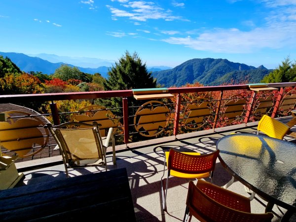 大雪山森林遊樂區賞楓2966040