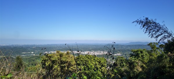 2025/11/22_大分林山步道2944210