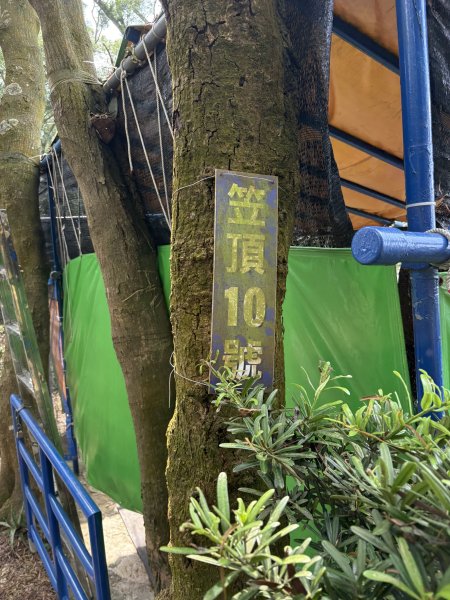 20251207笠頂山登山步道(第一登山口)2957662