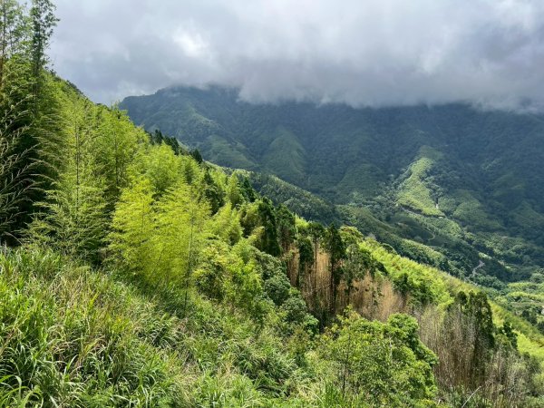 嵐山再古坑。五元兩角 木馬古道2806175